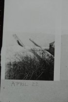 Looking down bluff towards lake